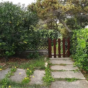 Casa Rosetta - Nei Pressi La Pelosa Appartamento